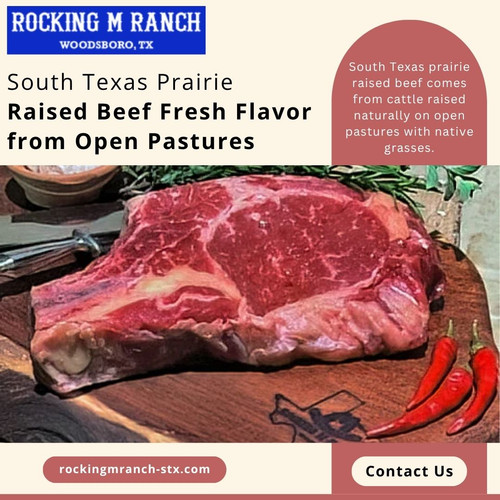 South Texas Prairie Raised Beef Fresh Flavor from Open Pastures.jpg