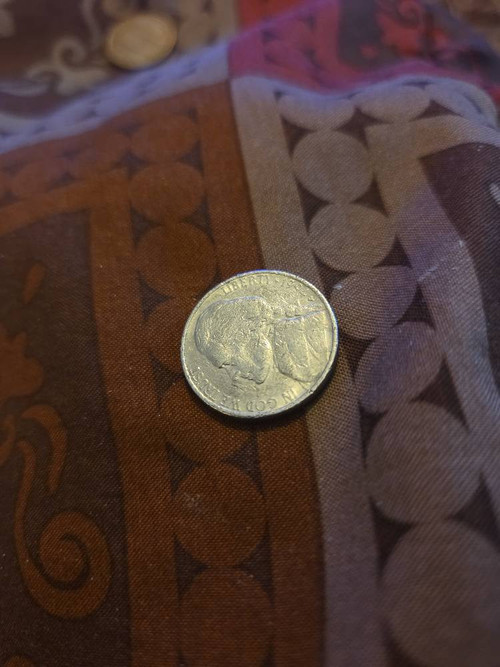 581bc99a4720.jpg
