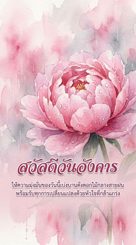 uc?id=1amk0FEaC0JEAfj53Pi 5 T7v8I MVZtu&export=download.jpg