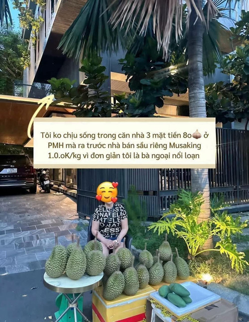 8d05ea77c383.jpg