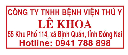 khoa le.jpg
