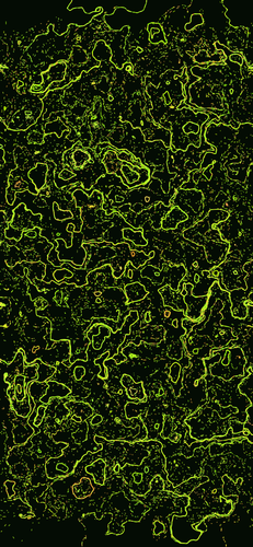 wallpaper lime s341.png