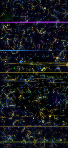 premium s55 coral.png