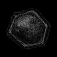 ff27e1cbdec0.webp