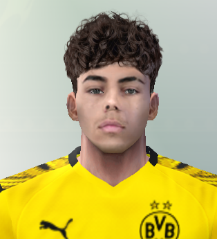 prev.png