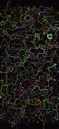 wallpaper coral s55.png