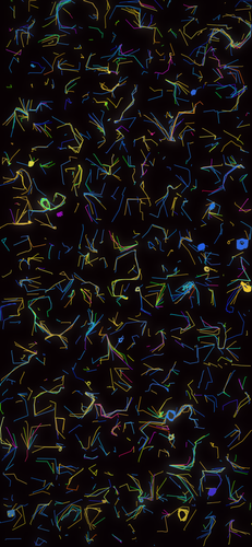 prem s55 coral.png