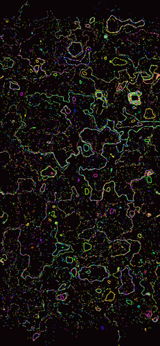 wallpaper coral s55 premium.png