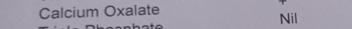 temp.png
