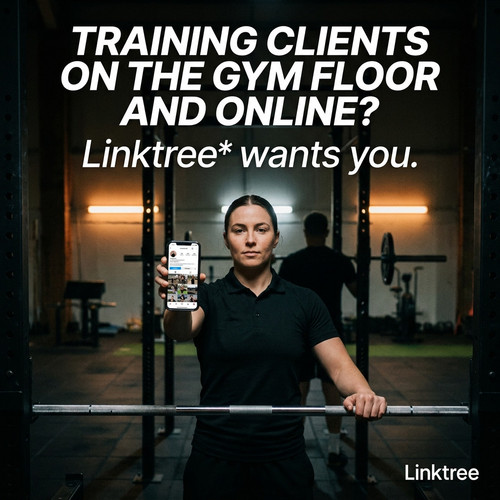 17 fitness hybrid trainer.jpg