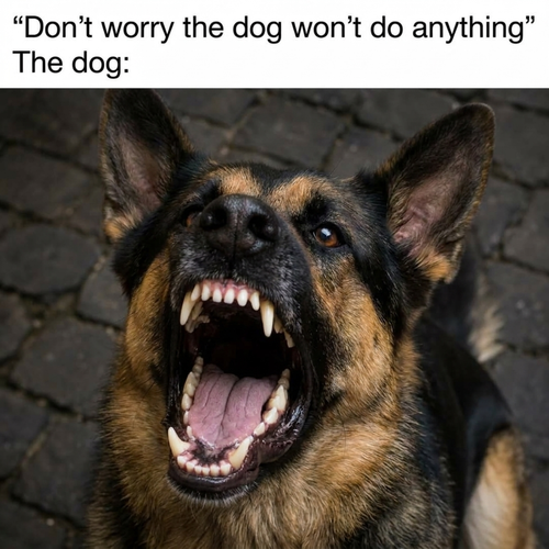 image 2026 05 18T120035.235.png