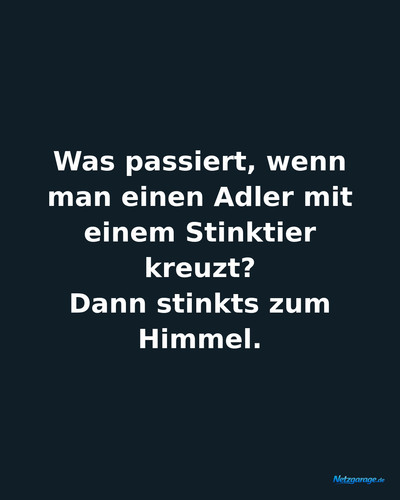 was passiert wenn man einen adler mit einem stink ig.jpg