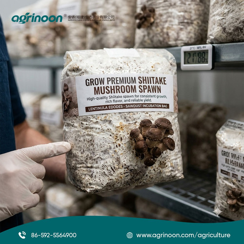 The Secret to Premium Shiitake? It’s the Spawn!.jpg