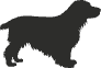 a0fc585be98c.png
