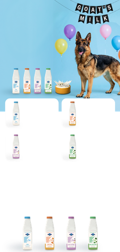 951a998a95aa.png