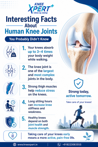 Interesting Facts About Human Knee Joints You Probably Didn’t Know.png