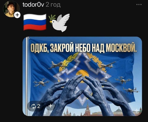 file 217.jpg