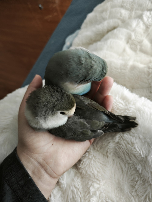 1779088991421.jpg
