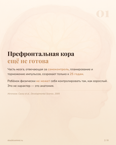 slide 02.png