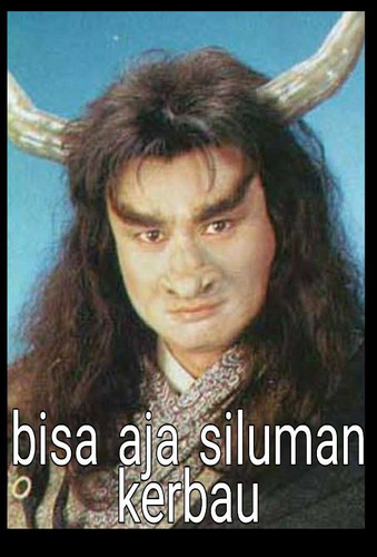 kerbau.jpg