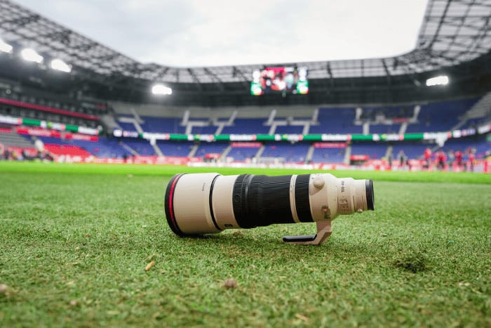 Ảnh chụp chim bằng Sony FE 100-400mm F4.5 GM OSS
