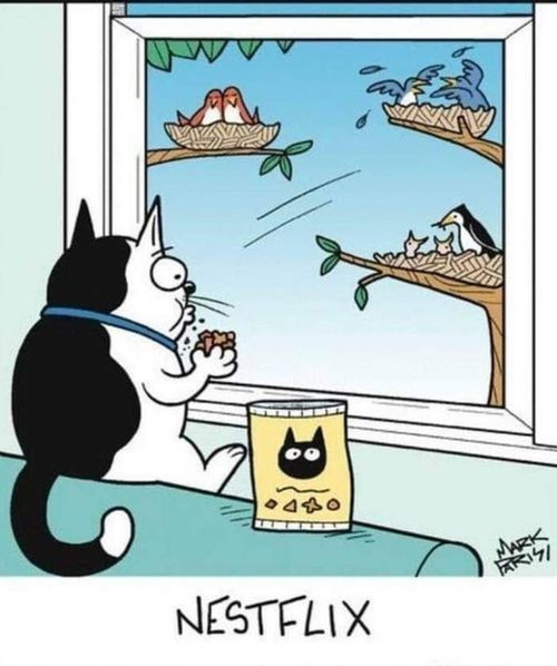 Nestflix
