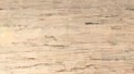 Ground 1.jpg