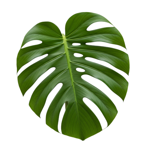 1026c4a37908.png