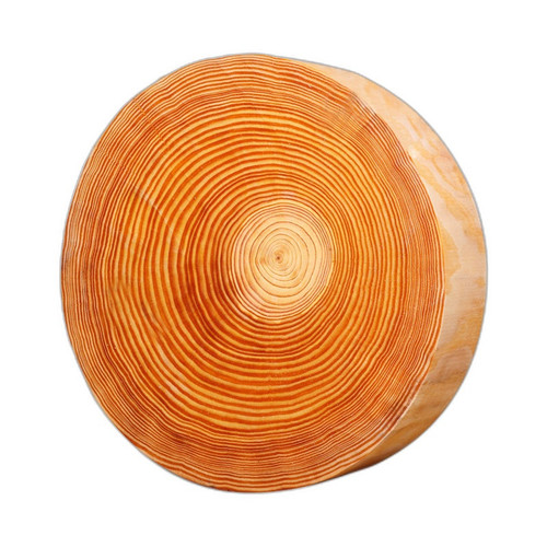 p4 image 5.jpg