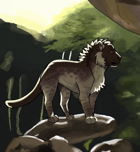 lNfXK6T.png