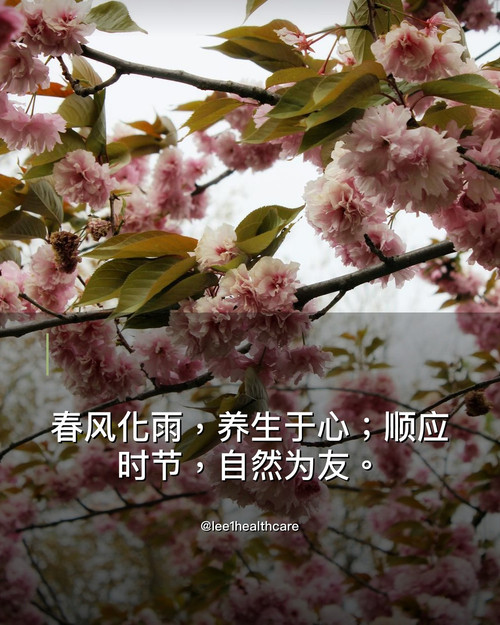 lee1 healthcare quote 20260519.jpg