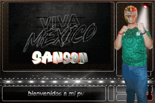 PVMEXICOSANSON.gif