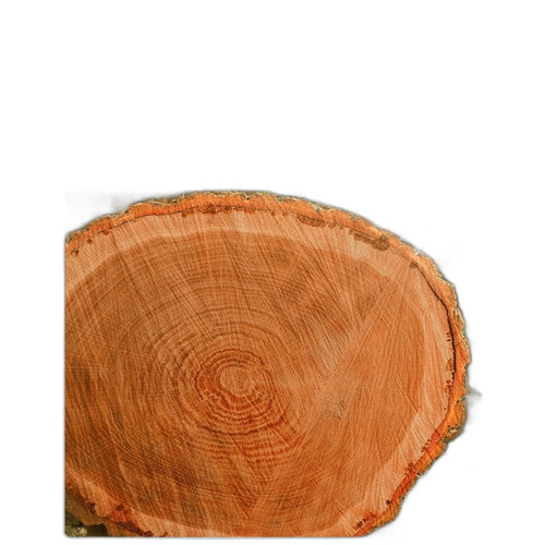 p4 image 3.jpg