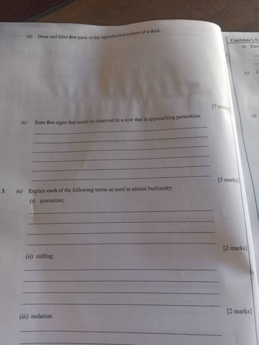 909470.jpg