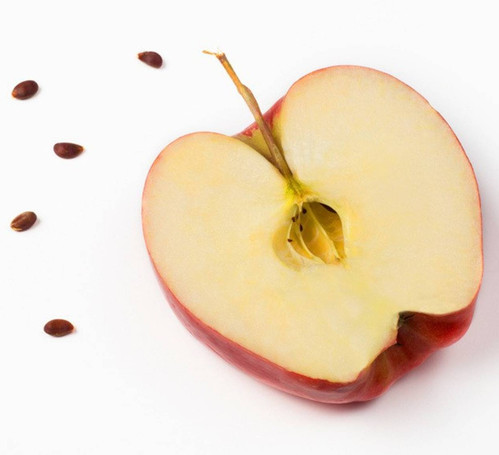 50 apple seeds 50 seeds alpine hybrid seeds original imageg6fgyfpc5ey.jpg