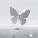 IMG 2671