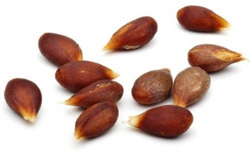 7 apple 7 vg325x seed v seed original imafyx2gzgyshkfr.jpg