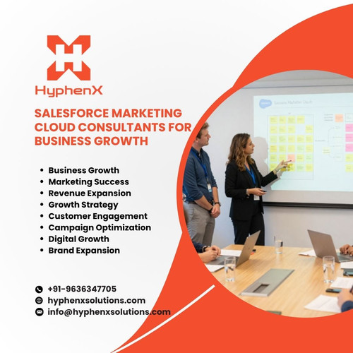Salesforce Marketing Cloud Consultants for Business Growth.jpg