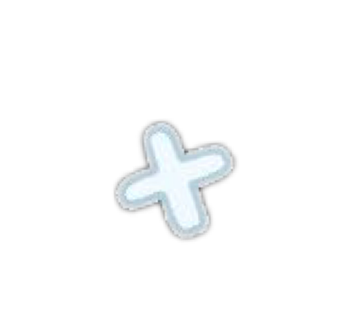 IMG 5582.png