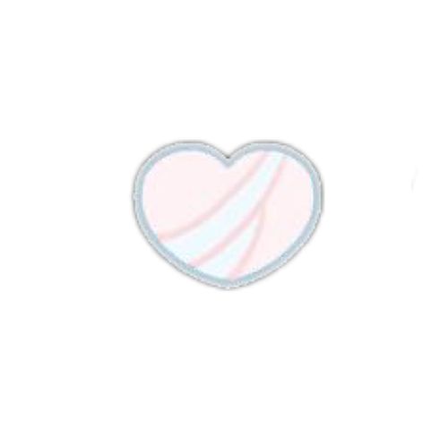 IMG 5581.png