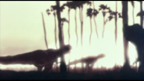 vlcsnap 2026 05 19 19h41m31s062.png