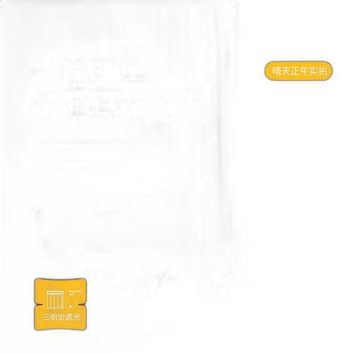 p1 image 4.jpg