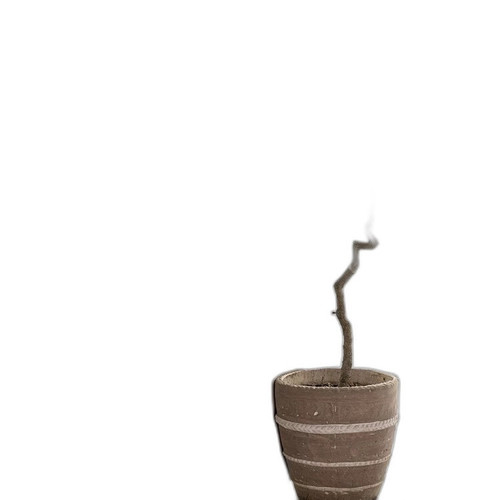 p4 image 3.jpg