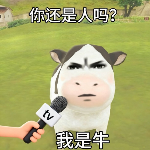 4djairgob8a2cmn4nt7le9yr9.jpg