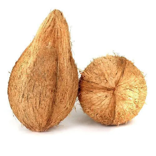Semi Husked Coconut.jpg