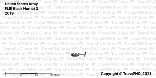 N1010.png