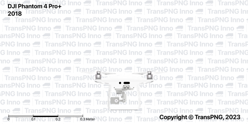 N1006.png
