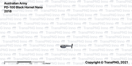 N1009.png