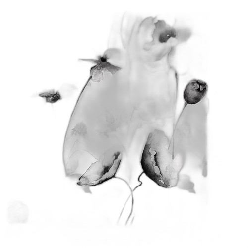 p3 image 2.jpg