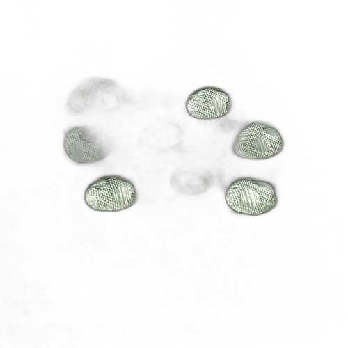 p5 image 4.jpg